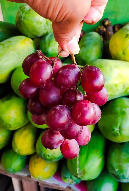 Wijn, Biologisch, Fruit, Produceren