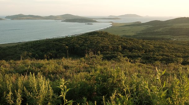 Pacífico, Cenário, Ilha, Pedras