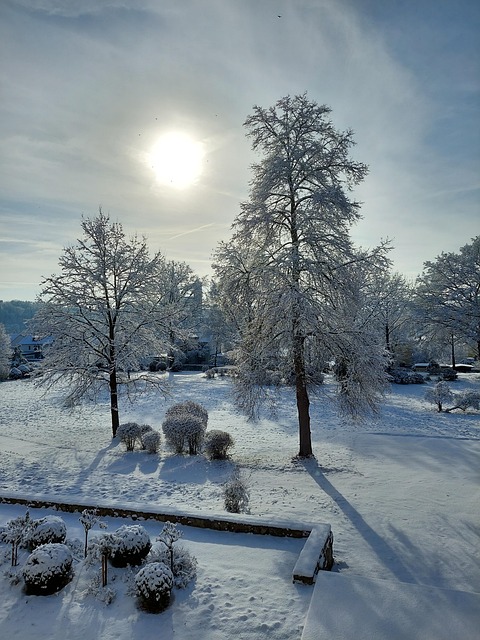 Inverno, Neve, Natureza, Dom, Igreja