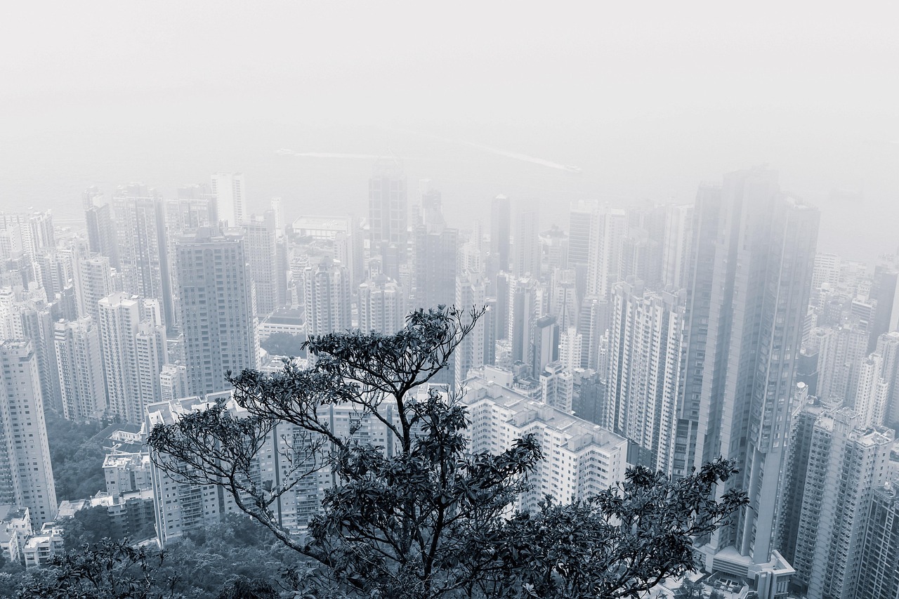 有雾的 城市 城市的 - Pixabay上的免费照片 - Pixabay