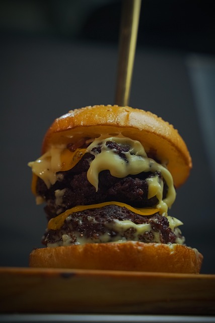 Free Burger Hamburger photo and picture