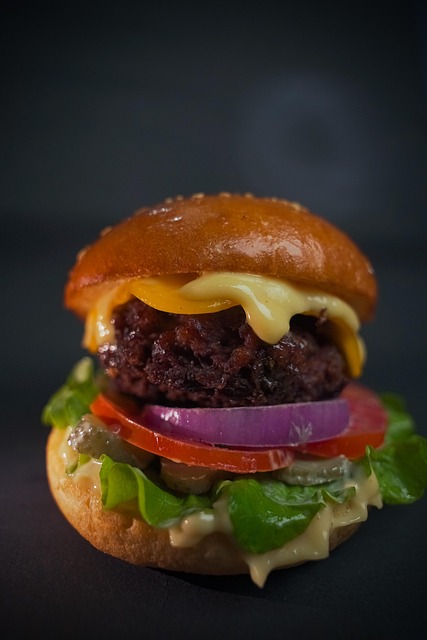 Free Burger Hamburger photo and picture