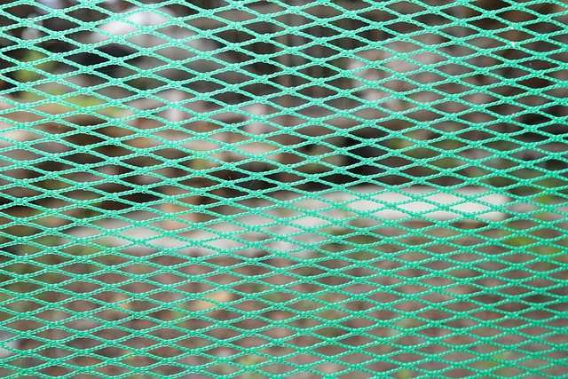 Free Net Mesh photo and picture