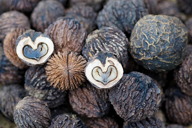 Free Black Walnuts Hard Shell photo and picture