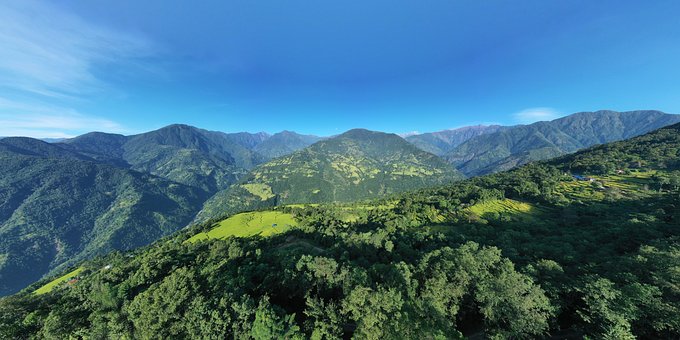 Natur, Wald, Landschaft, Draußen