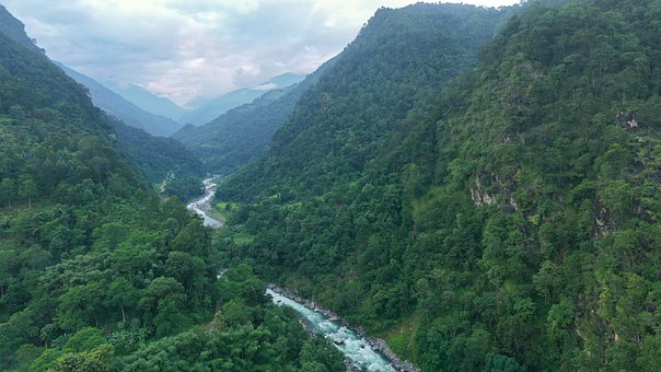 Fluss, Natur, Wasser, Wald, Landschaft