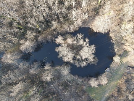 Free Pond Nature photo and picture