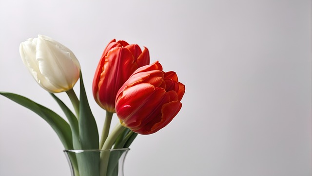 Free ai generated tulips flowers illustration