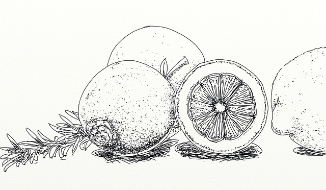 Free lemon citrus fruits illustration