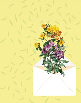 Free Envelope Flower illustration and picture