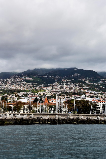 Free Funchal Madeira photo and picture