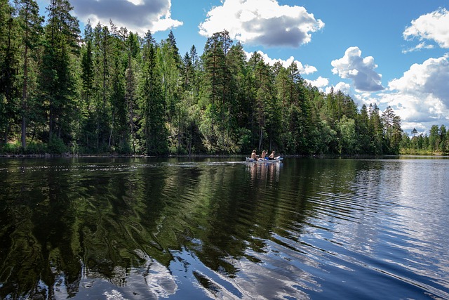 Free Sweden Paddle photo and picture
