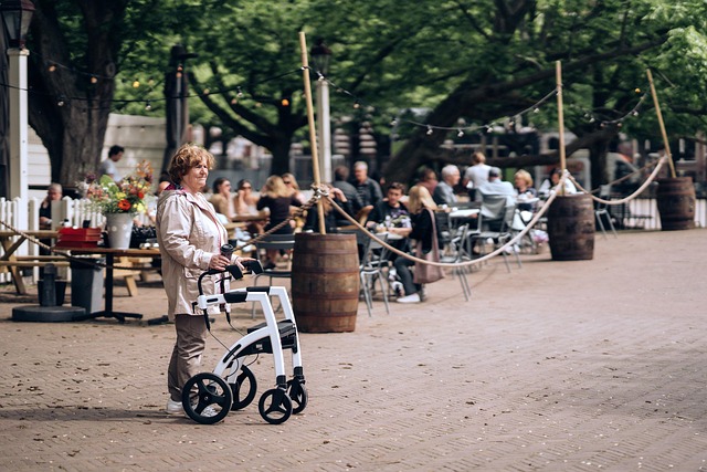 Free Rollator Walker photo and picture