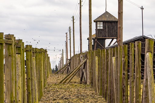 Free Lublin Majdanek photo and picture