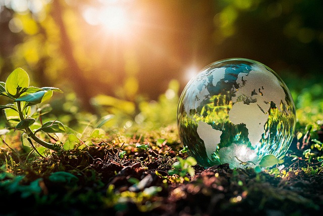 Free ai generated crystal globe forest illustration