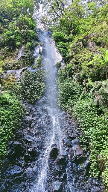 Free Waterfall Nature photo and picture