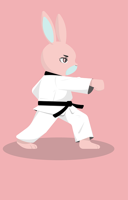 Conejo, Taekwondo, Animal, Linda