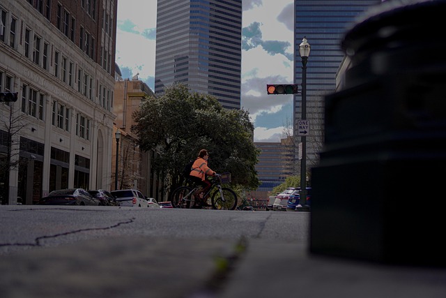 Free Houston City photo and picture