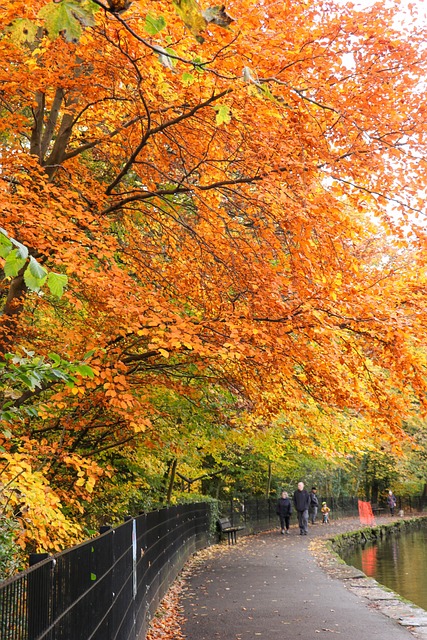 Free Autumn Fall photo and picture