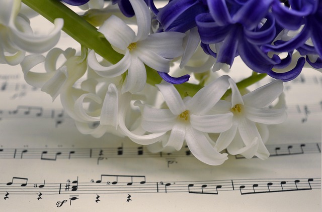 sheet music, flower, hyacinths, class, hyacinth flower, blooms, spring, spring music, spring songs, close up, flora, music, blossoms, teacher gradebook, make music, concert, songs, to sing, choir, sounds, melody, love for music, notenblatt, birthday song