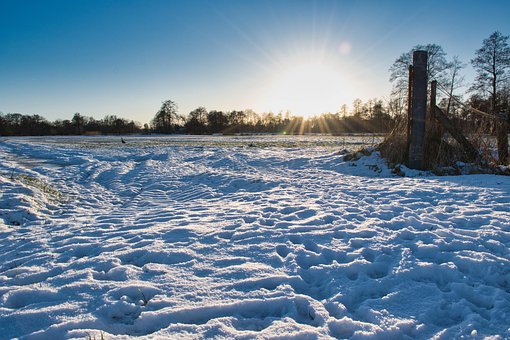 Free Field Snow photo and picture