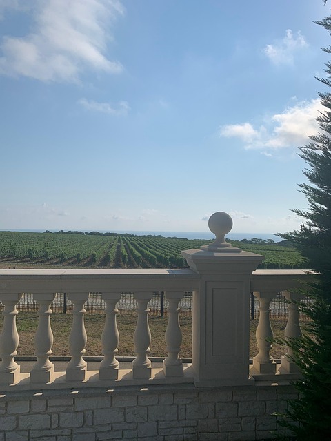 Viñedos, Plantas, Valla, El Verano