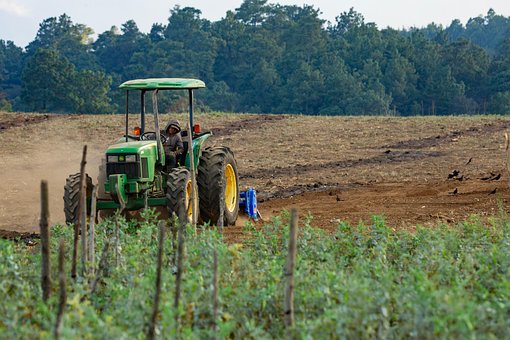 Free Field Job photo and picture