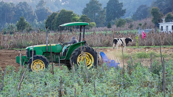 Free Farming Field photo and picture