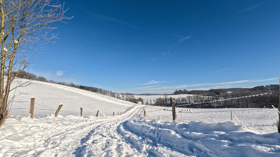 冬天 雪 选择 - Pixabay上的免费照片 - Pixabay