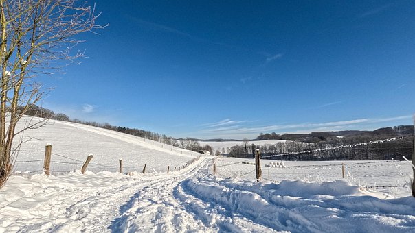 Invierno, Nieve, Elegir