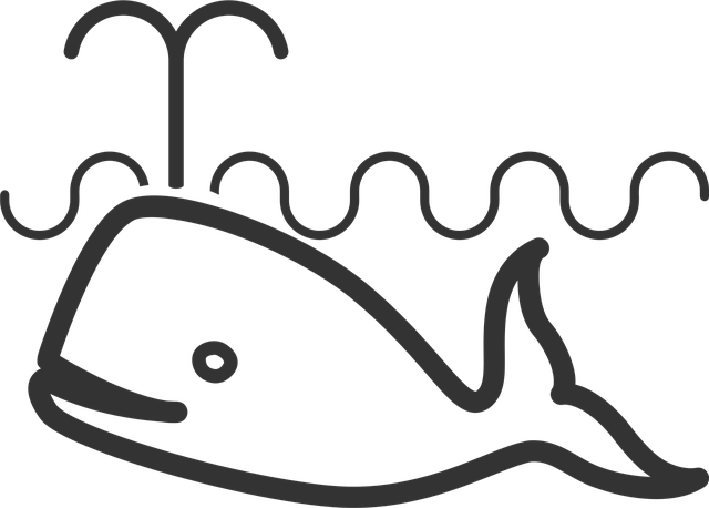 Ballena, Mar, Pez, Oceano, Línea Arte