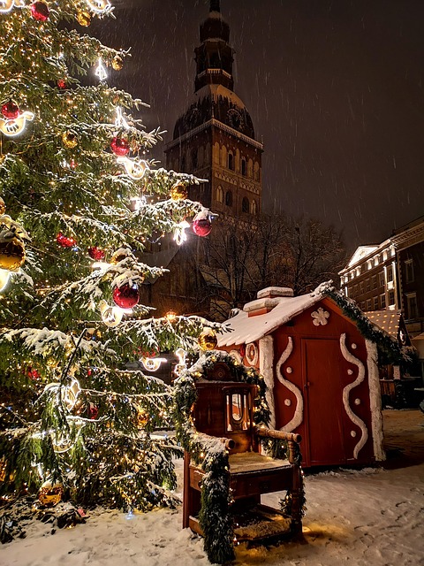 Free Riga Latvia photo and picture