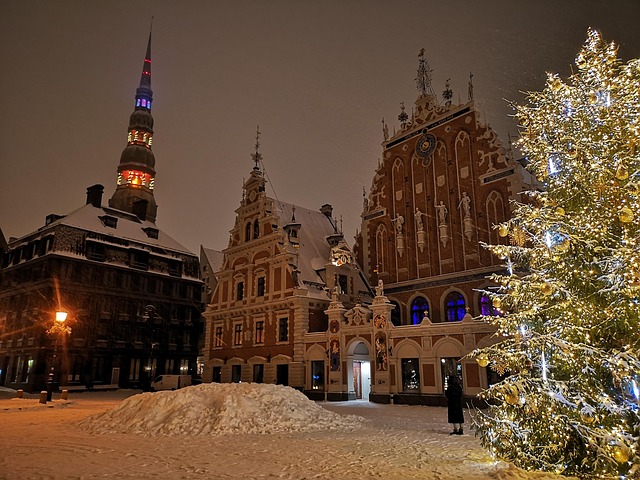 Free House Of The Blackheads Riga photo and picture