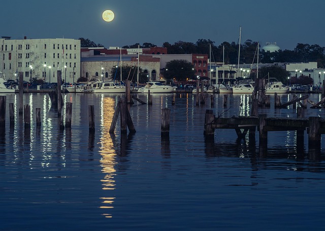 Free Moon Reflection photo and picture