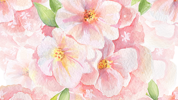 Free Flower Nature illustration and picture