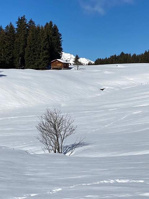 Parpan, Vinter, Sne, Natur, Landskab