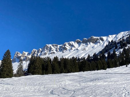 Parpan, Vinter, Sne, Natur, Landskab