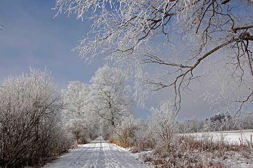 Free Ripe Cold photo and picture