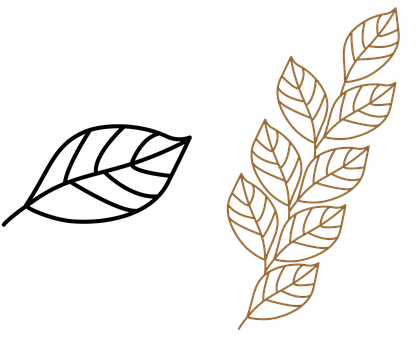 Free Leaf Nature illustration and picture