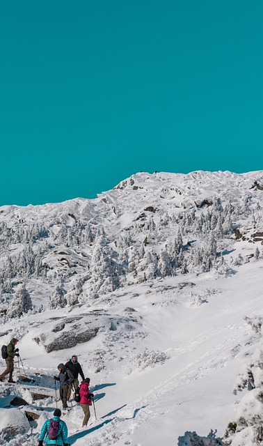 Free Mountain Snowy Mountain photo and picture