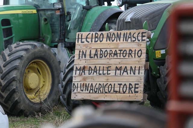 Gård, Landmænd, Traktor, Protest, Rom
