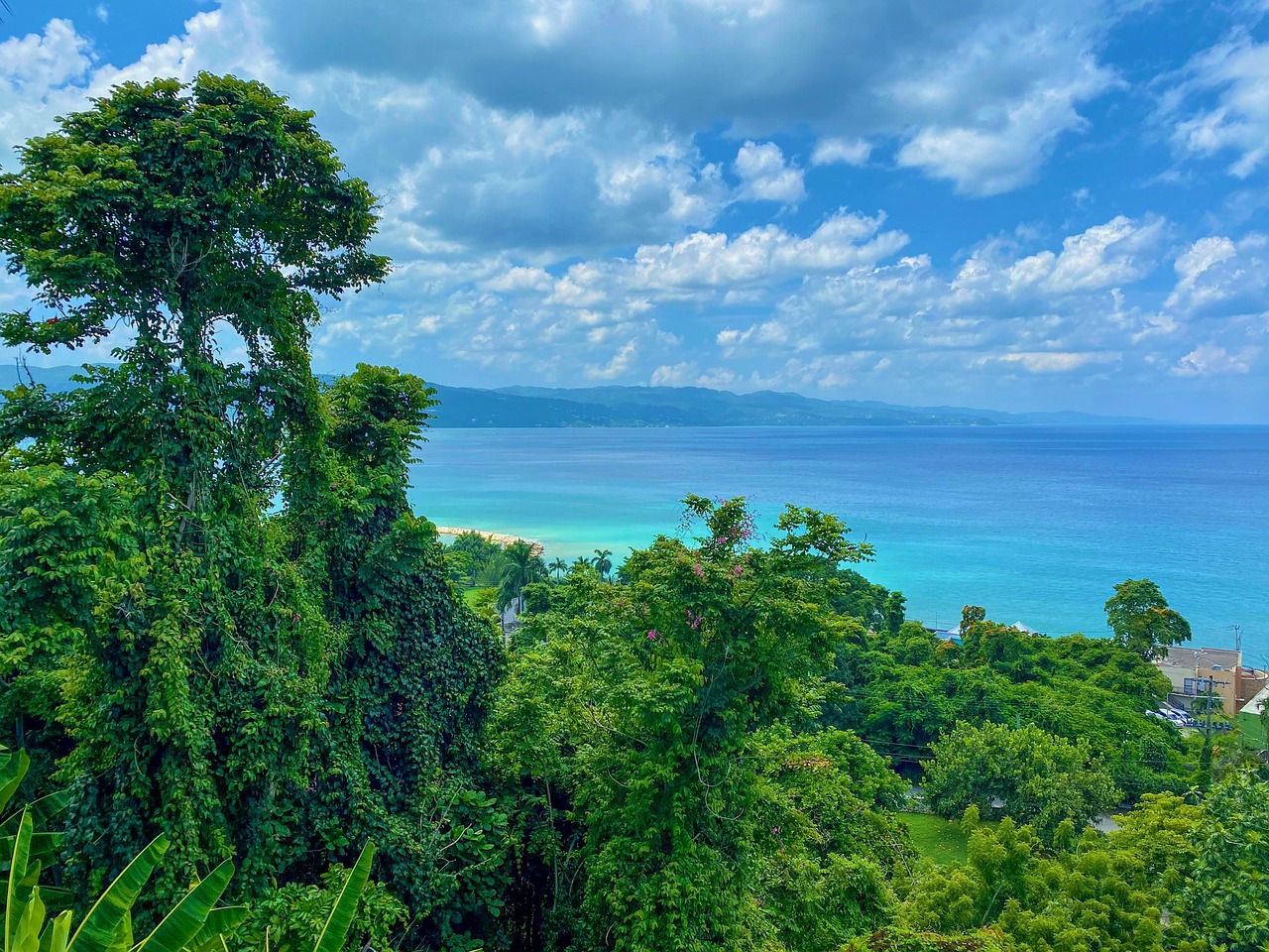 Free Jamaica Ocean photo and picture