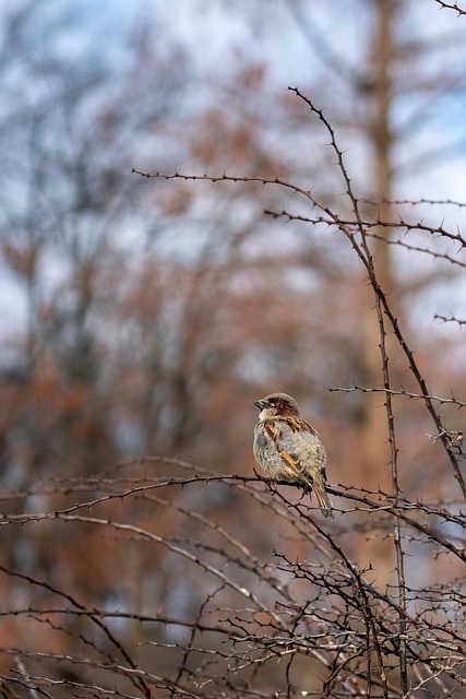 Free Nature Landscape photo and picture
