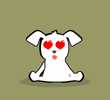 Hundehvalp, Kæledyr, Natur, Hvid