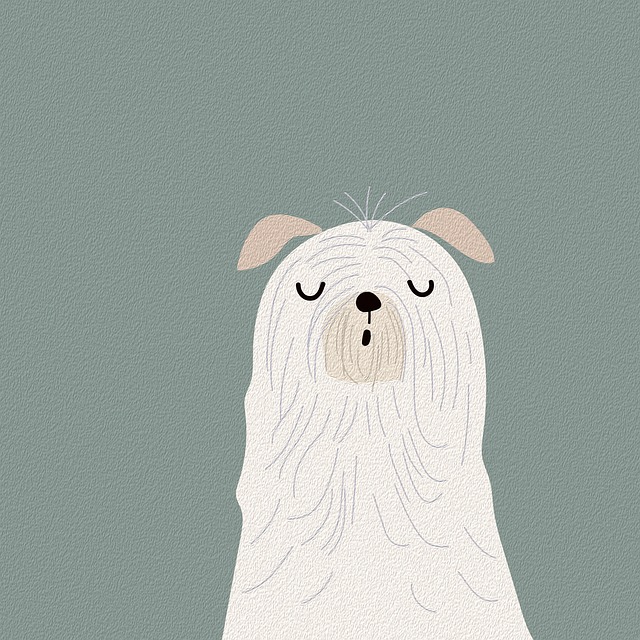 Plakat, Tegning, Kæledyr, Natur, Hund