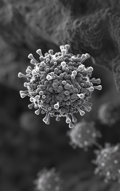 Free virus electron microscope cell illustration