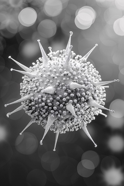 Free virus electron microscope cell illustration