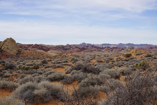 Free Fire Valley Nevada photo and picture