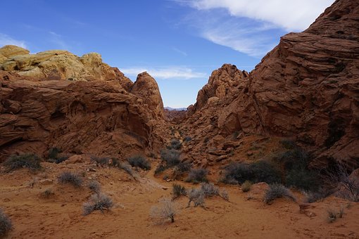 Free Fire Valley Rainbow View photo and picture