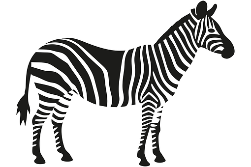 Tier, Natur, Tierwelt, Zebra, Safari